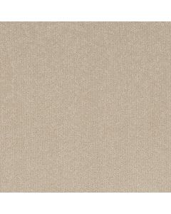 Shaw CLEVER BLEND Warm Light Carpet - SH-5E810-00116