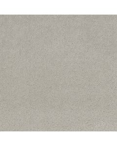 Shaw CLEVER BLEND Rock Crystal Carpet - SH-5E810-00508
