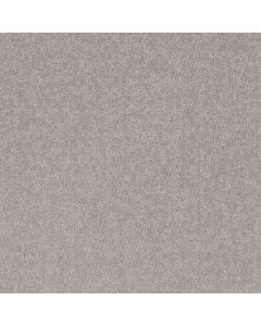 Shaw CLEVER BLEND Gravity Carpet - SH-5E810-00556
