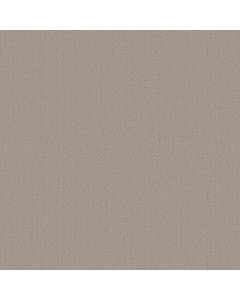 Shaw AUSTIN PARK Studio Taupe Carpet - SH-5E819-00173