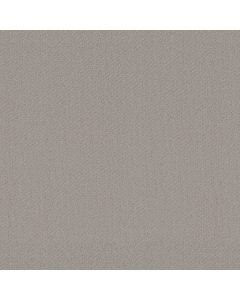 Shaw AUSTIN PARK Quiet Moment Carpet - SH-5E819-00175