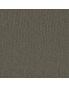 Shaw AUSTIN PARK Cedar Glen Carpet - SH-5E819-00350
