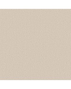 Shaw LAS CRUCES Breeze Carpet - SH-5E820-00151