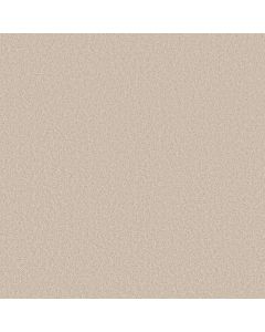 Shaw LAS CRUCES Zurich Carpet - SH-5E820-00152