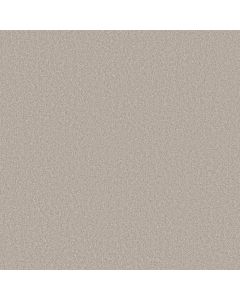 Shaw LAS CRUCES Reflective Carpet - SH-5E820-00153