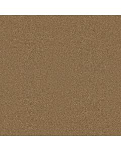 Shaw LAS CRUCES Radiance Carpet - SH-5E820-00250
