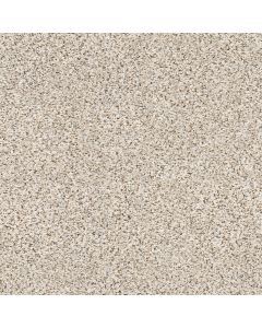 Shaw ABILENE II Pixels Carpet - SH-5E822-00170