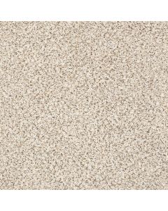 Shaw ABILENE II Swiss Coffee Carpet - SH-5E822-00173