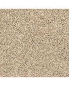 Shaw ABILENE II Sand Castle Carpet - SH-5E822-00174