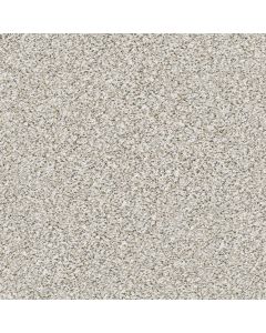Shaw ABILENE II Whitewash Carpet - SH-5E822-00177