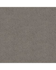 Shaw ABILENE II Powerful Carpet - SH-5E822-00573