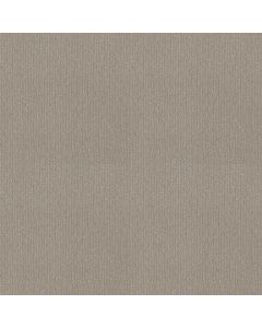 Shaw CEDAR CITY Quiet Moment Carpet - SH-5E823-00175