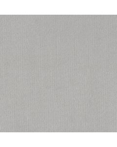 Shaw CEDAR CITY Classic Silver Carpet - SH-5E823-00550