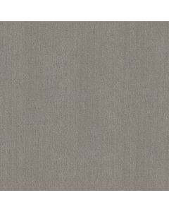 Shaw CEDAR CITY Antique Gray Carpet - SH-5E823-00551
