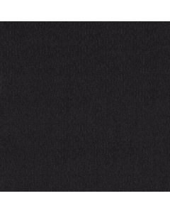 Shaw CEDAR CITY Blackout Carpet - SH-5E823-00552