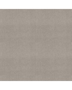 Shaw CEDAR CITY Etched Glass Carpet - SH-5E823-00576
