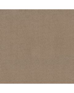 Shaw CEDAR CITY Leather Carpet - SH-5E823-00750