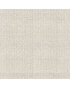 Shaw SIERRA VISTA Crisp Linen Carpet - SH-5E824-00172