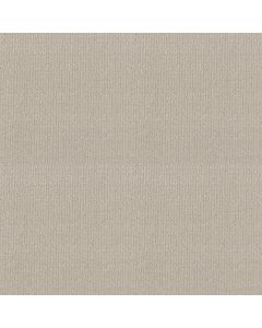 Shaw SIERRA VISTA Alabaster Carpet - SH-5E824-00176