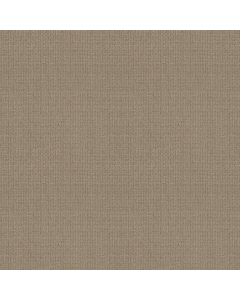 Shaw SIERRA VISTA High Noon Carpet - SH-5E824-00178