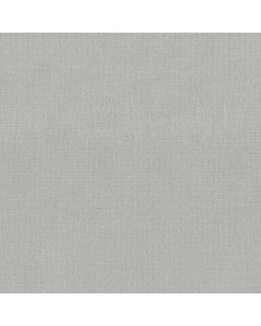 Shaw SIERRA VISTA Classic Silver Carpet - SH-5E824-00550