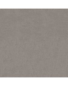 Shaw SIERRA VISTA Antique Gray Carpet - SH-5E824-00551