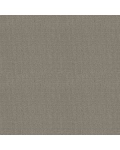 Shaw SIERRA VISTA Silhouette Carpet - SH-5E824-00573