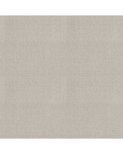 Shaw SIERRA VISTA Rock Crystal Carpet - SH-5E824-00574