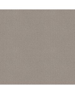 Shaw SIERRA VISTA Etched Glass Carpet - SH-5E824-00576