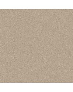 Shaw DEL RIO I Cream Carpet - SH-5E825-00151
