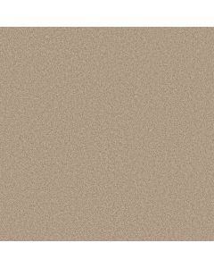 Shaw DEL RIO I Hayloft Carpet - SH-5E825-00152