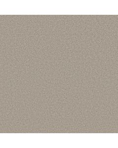 Shaw DEL RIO II Baltic Stone Carpet - SH-5E826-00128
