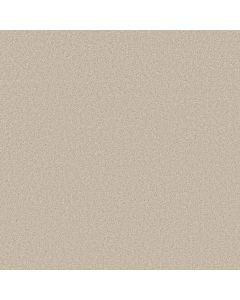 Shaw DEL RIO II Champagne Toast Carpet - SH-5E826-00153