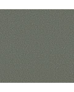 Shaw DEL RIO II Evergreen Carpet - SH-5E826-00350