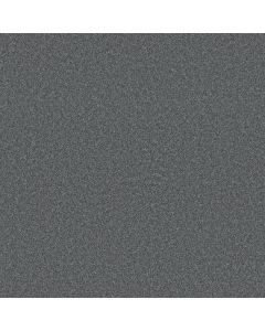 Shaw DEL RIO II Shale Carpet - SH-5E826-00450