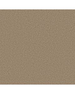 Shaw DEL RIO II Dune Carpet - SH-5E826-00750