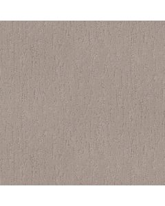Shaw CALM EXPRESSION Charming Tan Carpet - SH-5E827-00111