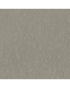 Shaw CALM EXPRESSION Organic Grown Carpet - SH-5E827-00320