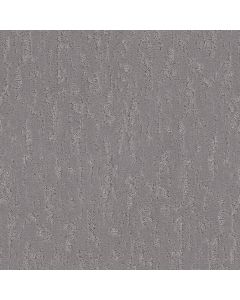 Shaw CALM EXPRESSION Anchor Carpet - SH-5E827-00509