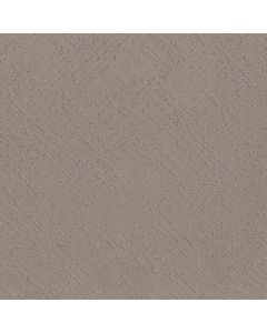 Shaw SINCERE FOCUS Charming Tan Carpet - SH-5E828-00111