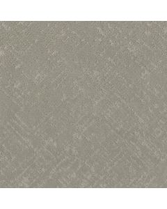 Shaw SINCERE FOCUS Organic Grown Carpet - SH-5E828-00320