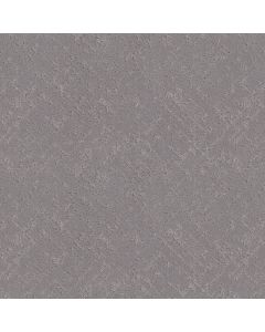 Shaw SINCERE FOCUS Anchor Carpet - SH-5E828-00509