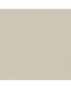 Shaw SAN ANTONIO White Blush Carpet - SH-5E829-00111