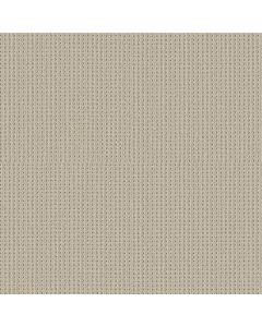 Shaw SAN ANTONIO Natural Carpet - SH-5E829-00113