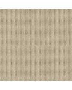 Shaw SAN ANTONIO Biscuit Carpet - SH-5E829-00114