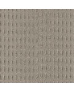 Shaw SAN ANTONIO Portico Carpet - SH-5E829-00172