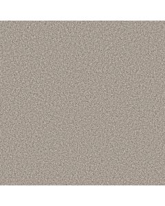 Shaw PRESCOTT VALLEY Shoreline Haze Carpet - SH-5E831-00112
