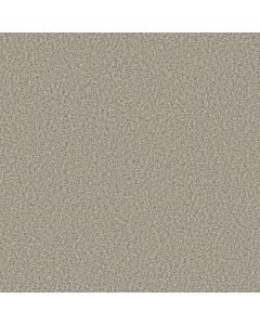 Shaw PRESCOTT VALLEY Misty Dawn Carpet - SH-5E831-00151