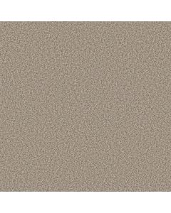 Shaw PRESCOTT VALLEY Spun Cotton Carpet - SH-5E831-00172