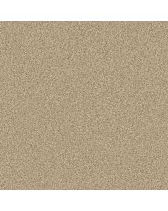 Shaw PRESCOTT VALLEY Beach Grass Carpet - SH-5E831-00223